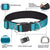 Reflective Double D-Ring Dog Collar