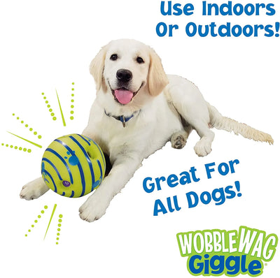 Interactive Noisy WobbleWag Ball